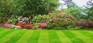 Hedge Cutting Cavan Monaghan