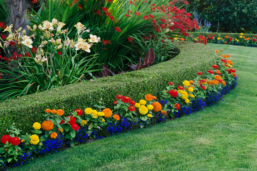 Hedge Cutting Cavan